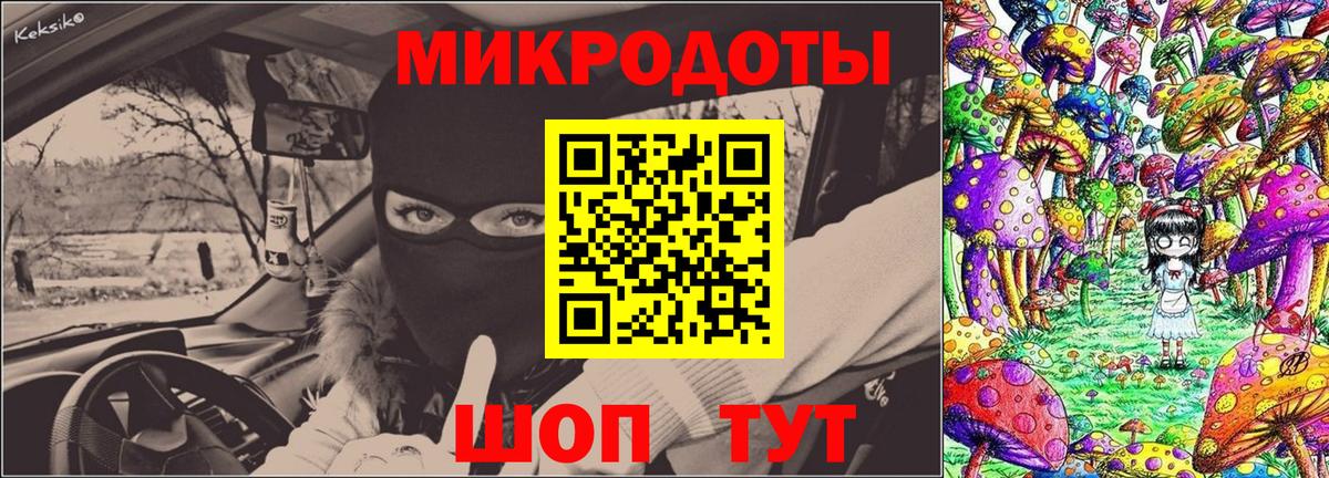 Псилоцибиновые грибы Psilocybe  Вход с VPN  Псилоцибиновые грибы прущие грибы  Трёхгорный 